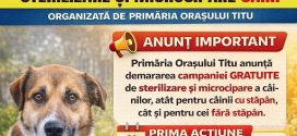 Dambovita, Titu: CAMPANIE GRATUITA STERILIZARE SI MICROCIPARE CAINI