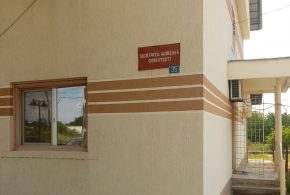 Exclusiv: Cum face performanta  Societatea Agricola  Dobrotesti din Teleorman pe 4.000 de hectare, in ciuda barierelor legislative