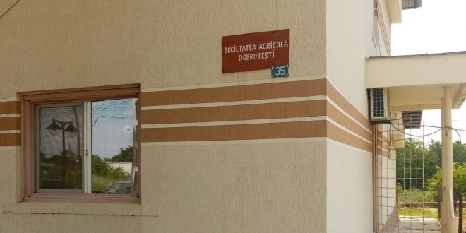 Exclusiv: Cum face performanta  Societatea Agricola  Dobrotesti din Teleorman pe 4.000 de hectare, in ciuda barierelor legislative