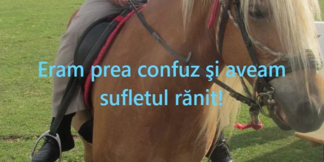 1 Mai: Oglinda timpului între două lumi – de Florenț Mocanu
