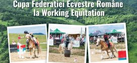 Traditie si echitatie la poalele Leaotei: Editia a X-a a Haidook Summer Fest revine la Runcu