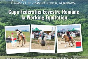 Traditie si echitatie la poalele Leaotei: Editia a X-a a Haidook Summer Fest revine la Runcu