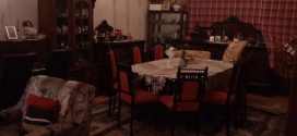 Patrimoniul preindustrial din Pietrosita sub spectrul degradarii: Cazul monumentului istoric „Casa I. Carpeteanu”