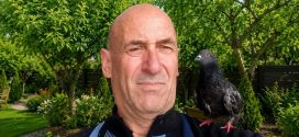 Rasturnare de situatie in cazul inventatorului Liviu Minescu: Porumbelul bland a fost salvat, dar drama continua! Al doilea „prieten” a plecat in căutarea lui