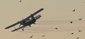 Actiune de anvergura impotriva insectelor de disconfort: Al doilea tratament aviochimic al verii s-a desfasurat cu succes in Titu si localitatile apartinatoare