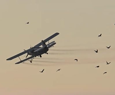Actiune de anvergura impotriva insectelor de disconfort: Al doilea tratament aviochimic al verii s-a desfasurat cu succes in Titu si localitatile apartinatoare