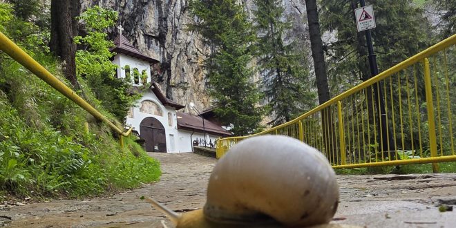 Scapa de canicula la 5 grade Celsius! Consiliul Judetean Dambovita te invita in Pestera Ialomitei, oaza de racoare si legenda din Bucegi!