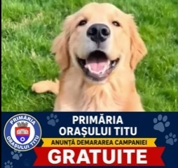 Dambovita, Titu: Problema cainilor fara stapan trebuie rezolvata, incepem cu preventia