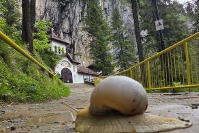 Pestera Ialomitei, administrata de Complexul National Muzeal „Curtea Domneasca” din Targoviste, reprezinta un punct de referinta  pe harta turismului cultural si natural din judetul Dambovita, imbinand spectacolul naturii cu sacralitatea istoriei noastre
