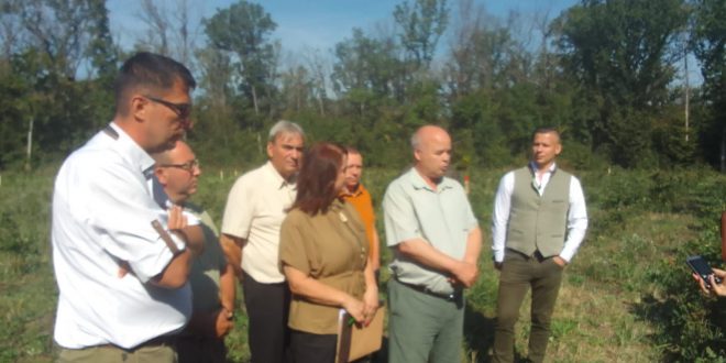 Bilant si digitalizare la Directia  Silvica Dambovita: Padurile noastre cresc de doua ori mai repede decat media europeana, dar birocratia rigida si clima ne pun la incercare