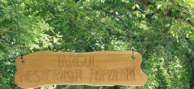 Paznicii traditiei in Parcul Chindia: Cum reusesc mesterii populari sa  tina vie identitatea romaneasca  la Zilele Cetatii