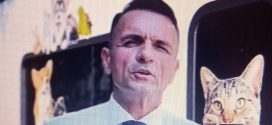Anunt important pentru targovisteni! Primarul Daniel Cristian Stan anunta  o noua campanie de sterilizare si microcipare GRATUITA pentru animalele de companie